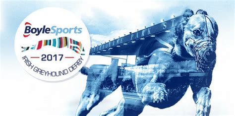 sky bet greyhounds|racing post greyhounds tv tonight.
